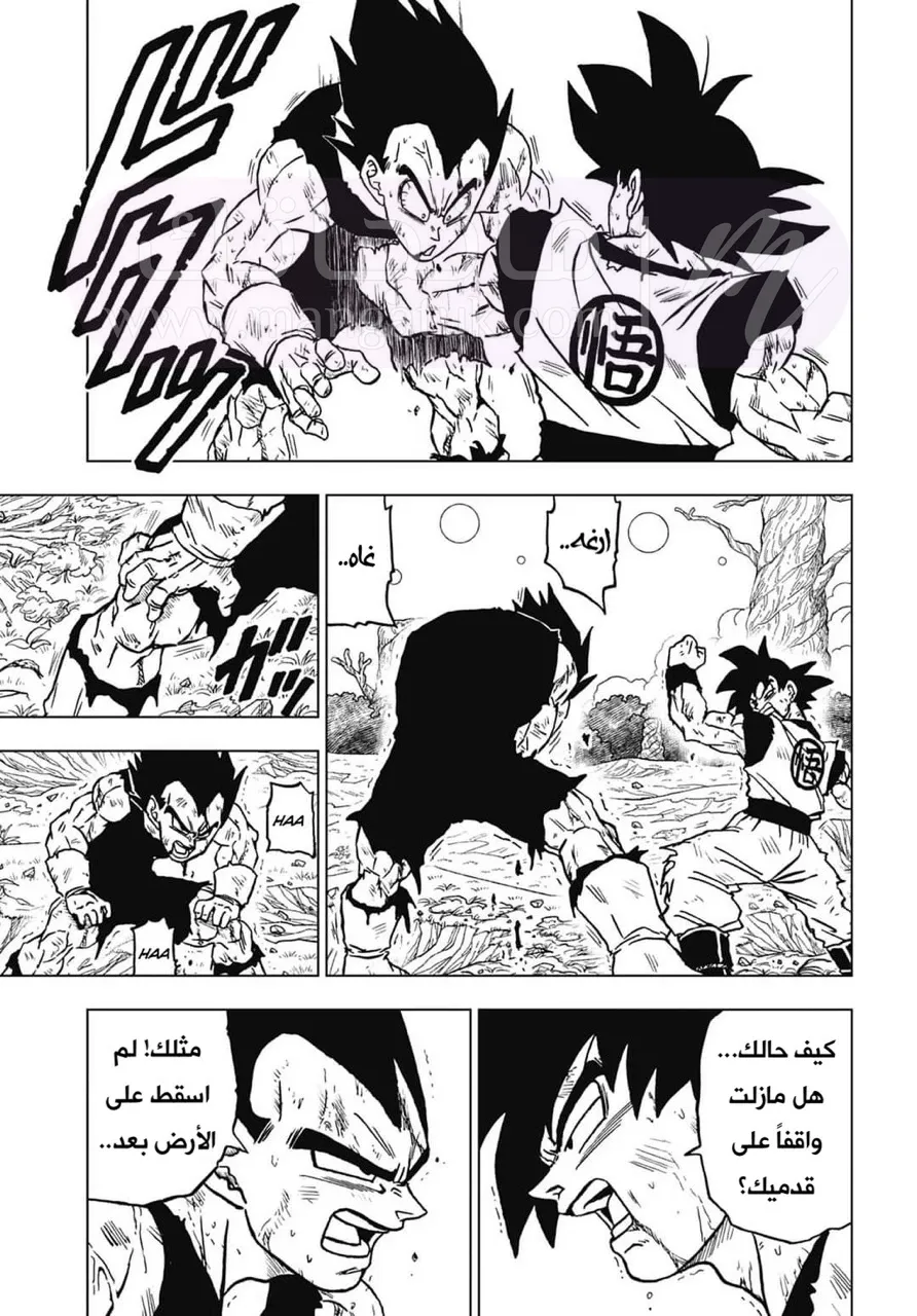 الصفحة 35