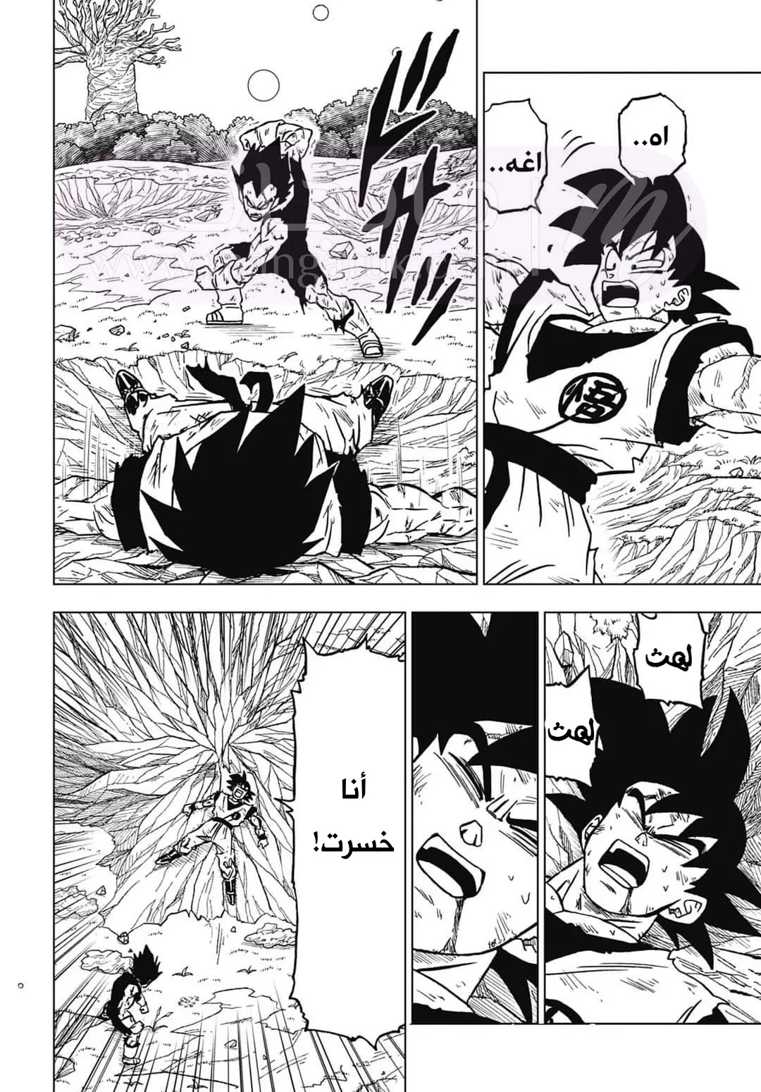 الصفحة 38