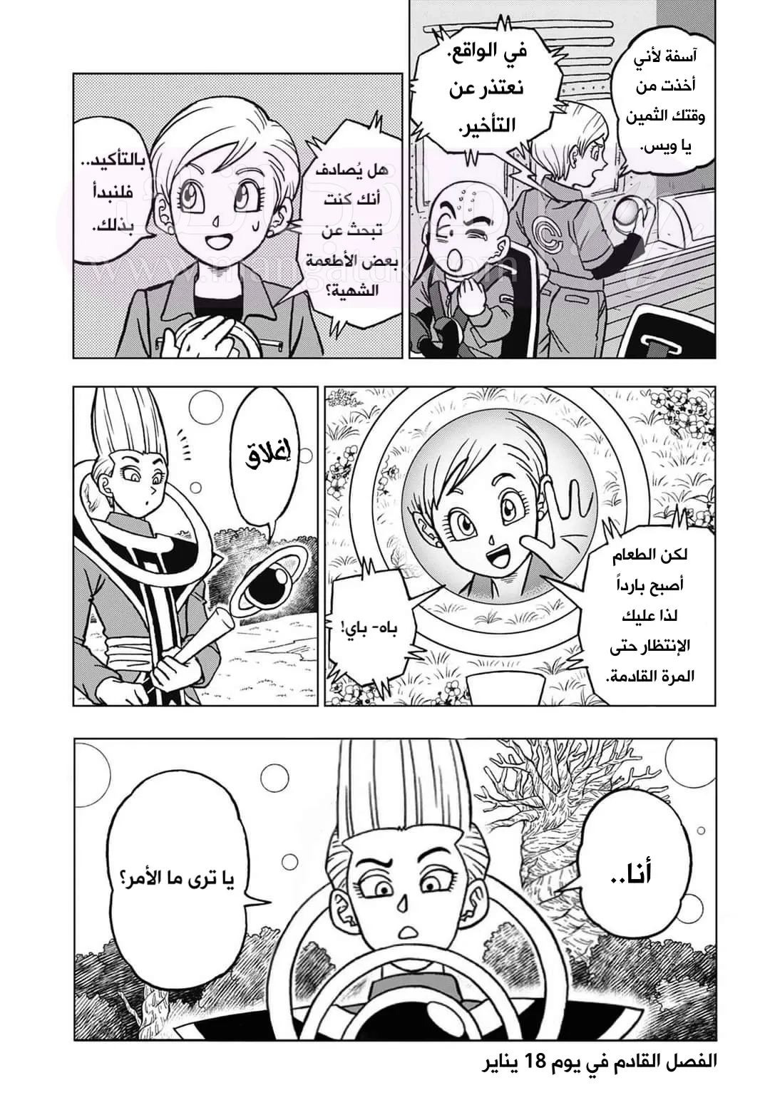 الصفحة 43