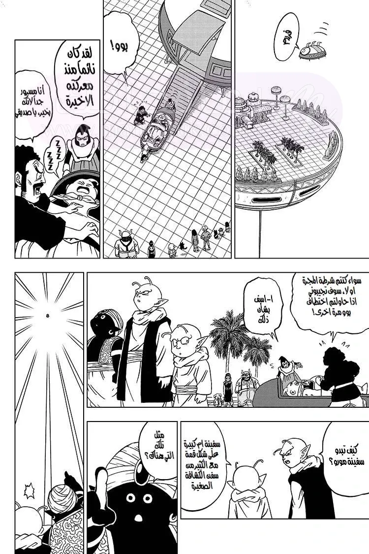 الصفحة 7