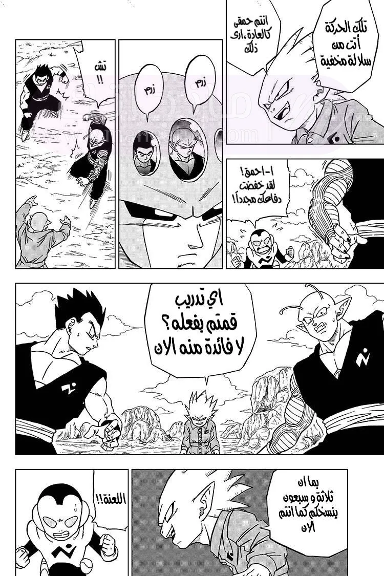 الصفحة 21