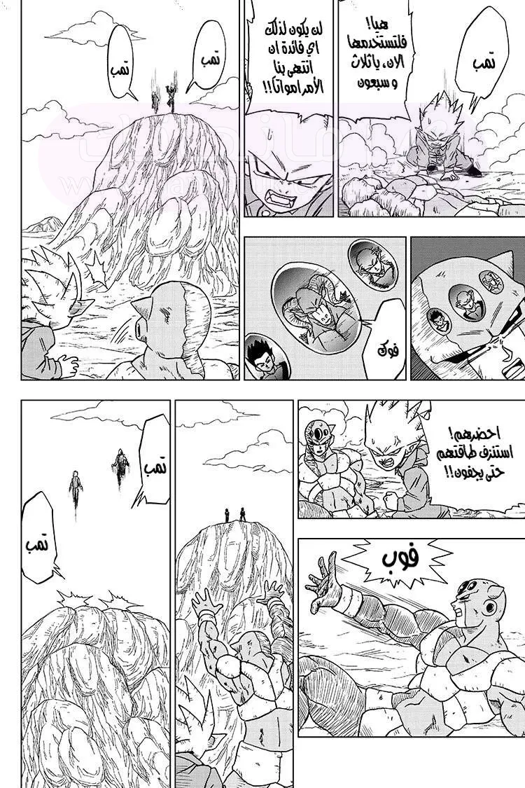 الصفحة 41