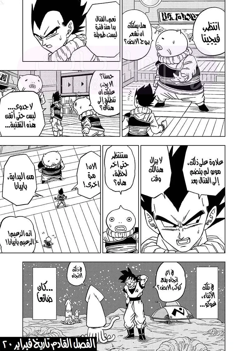 الصفحة 46