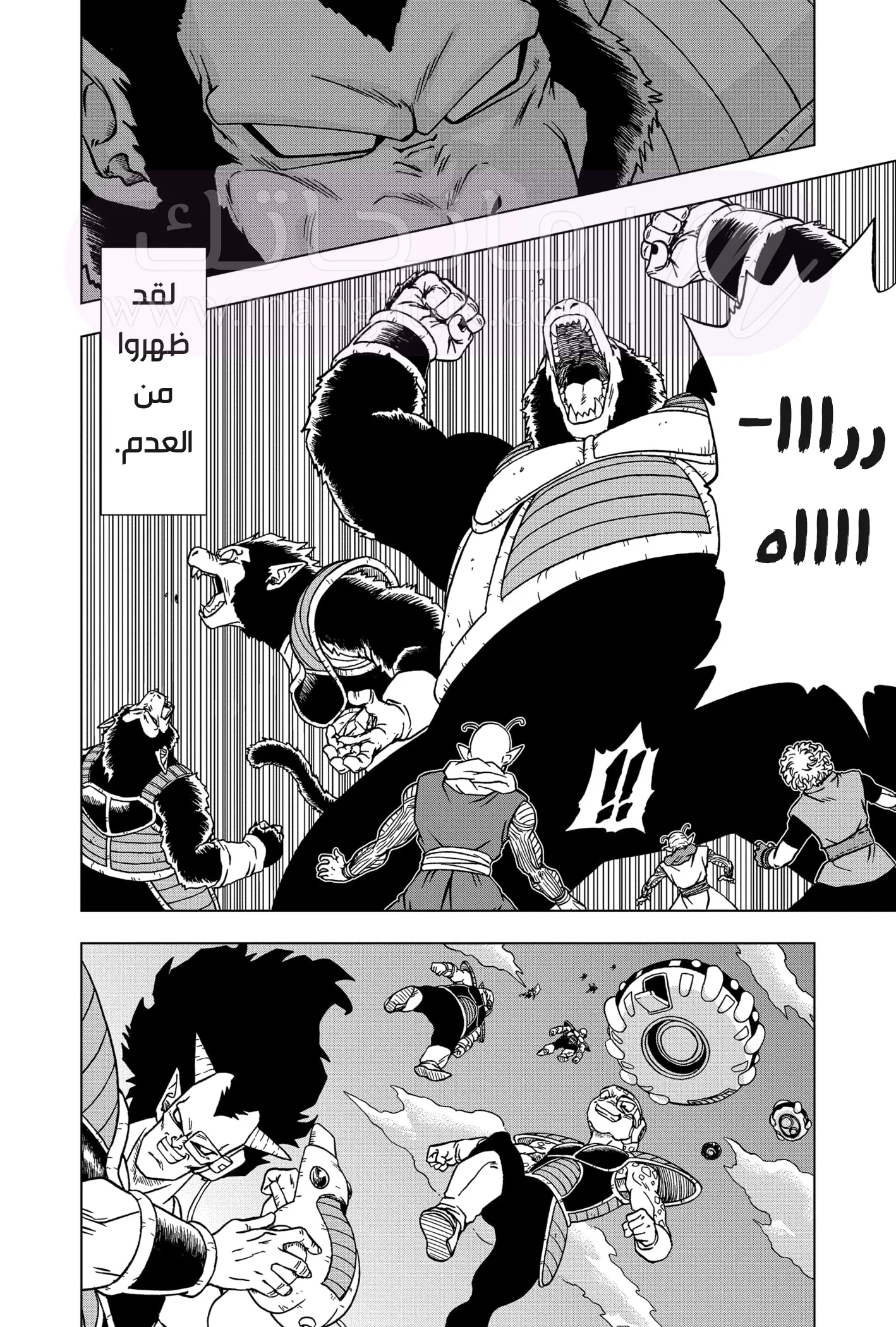 الصفحة 5