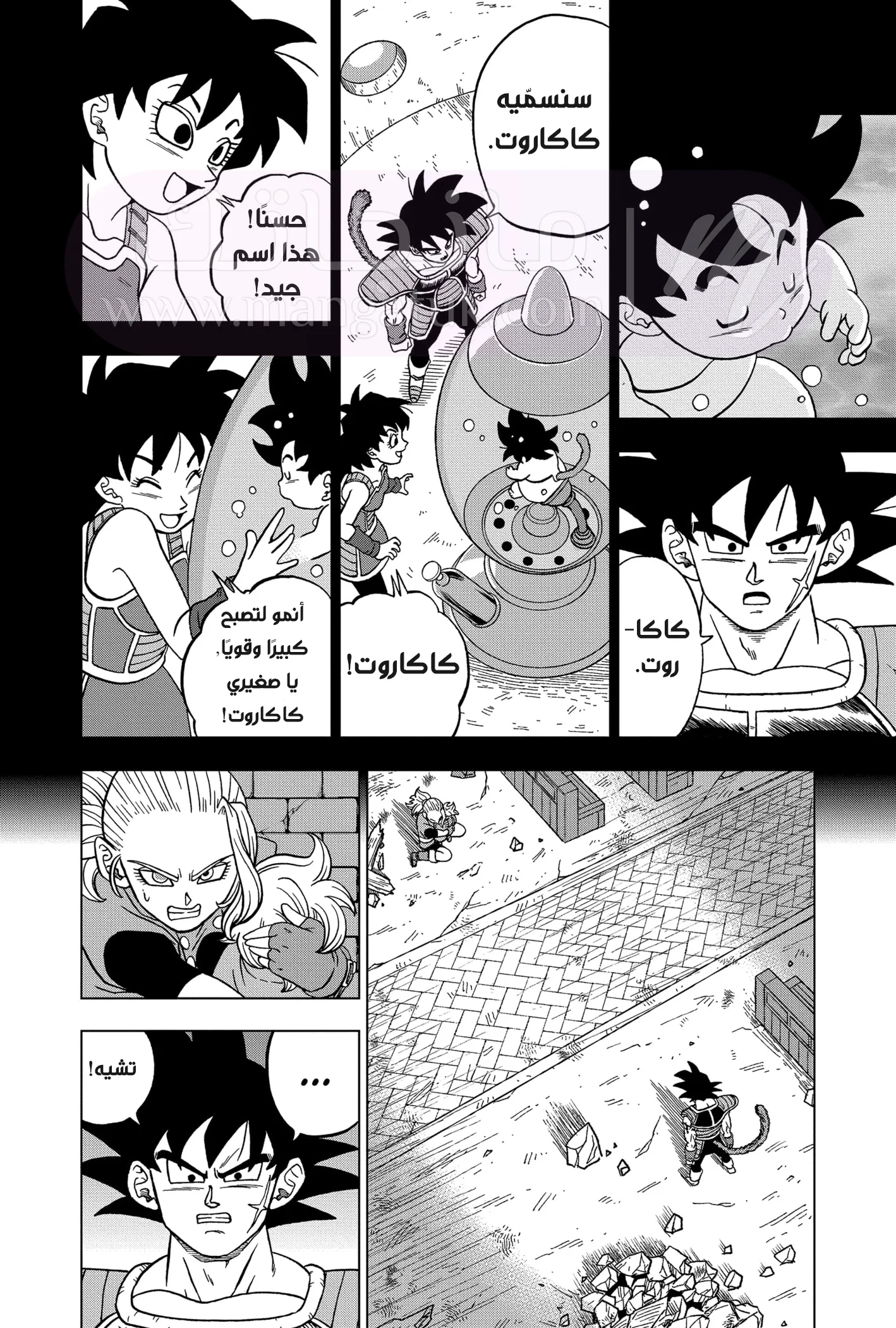 الصفحة 19