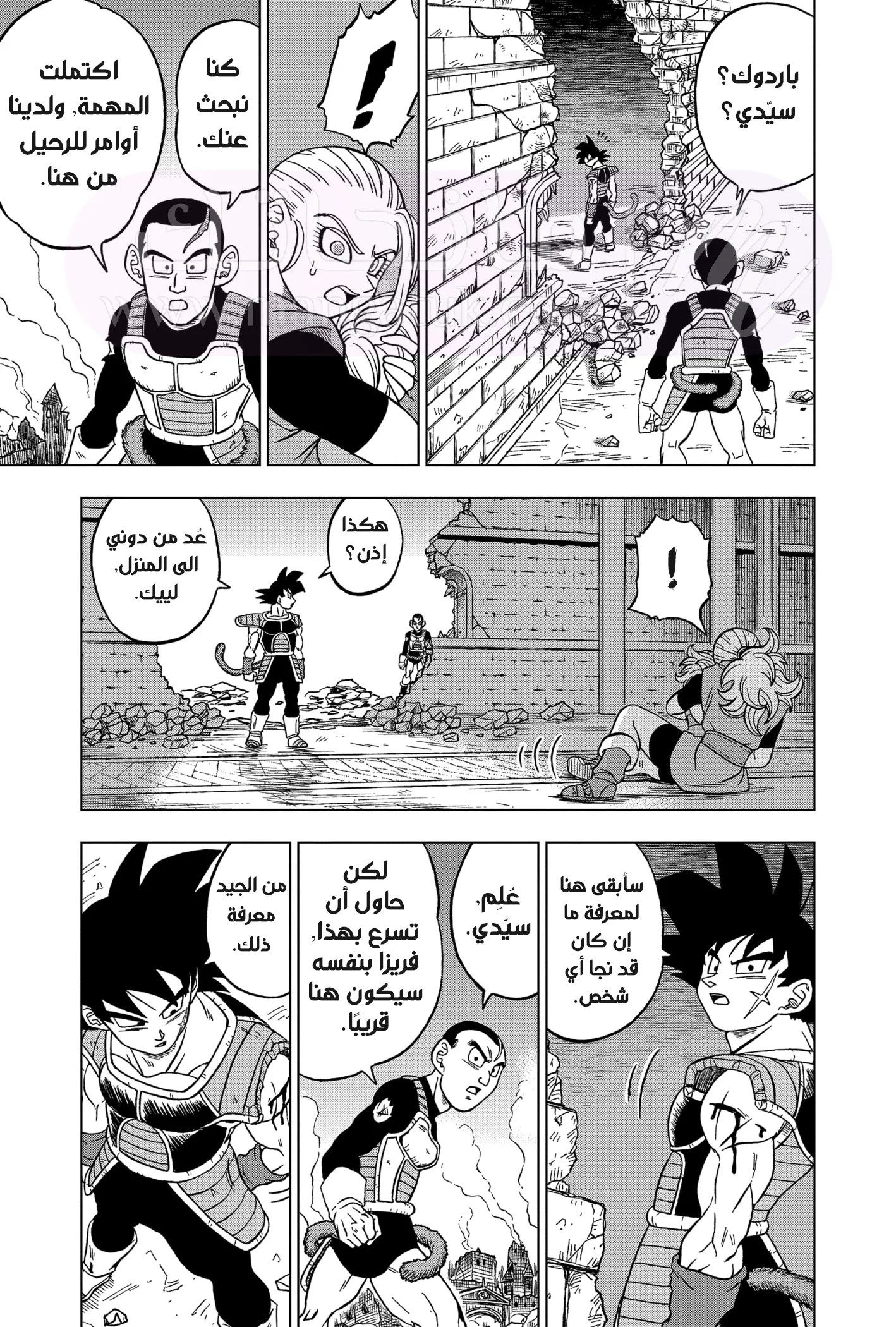 الصفحة 20