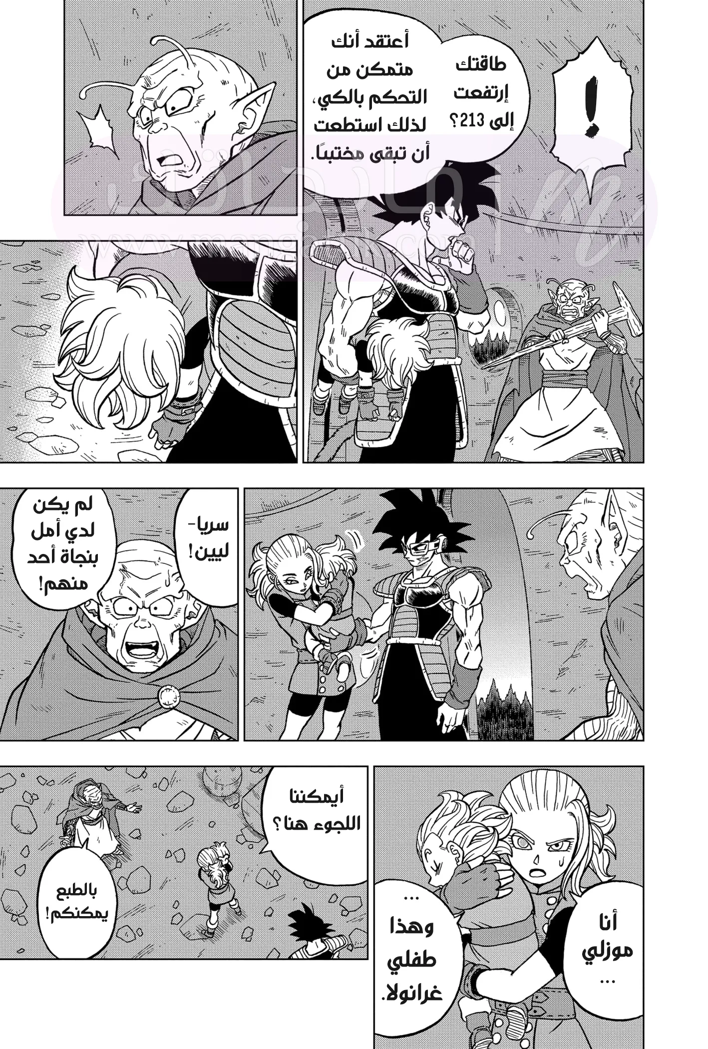 الصفحة 24