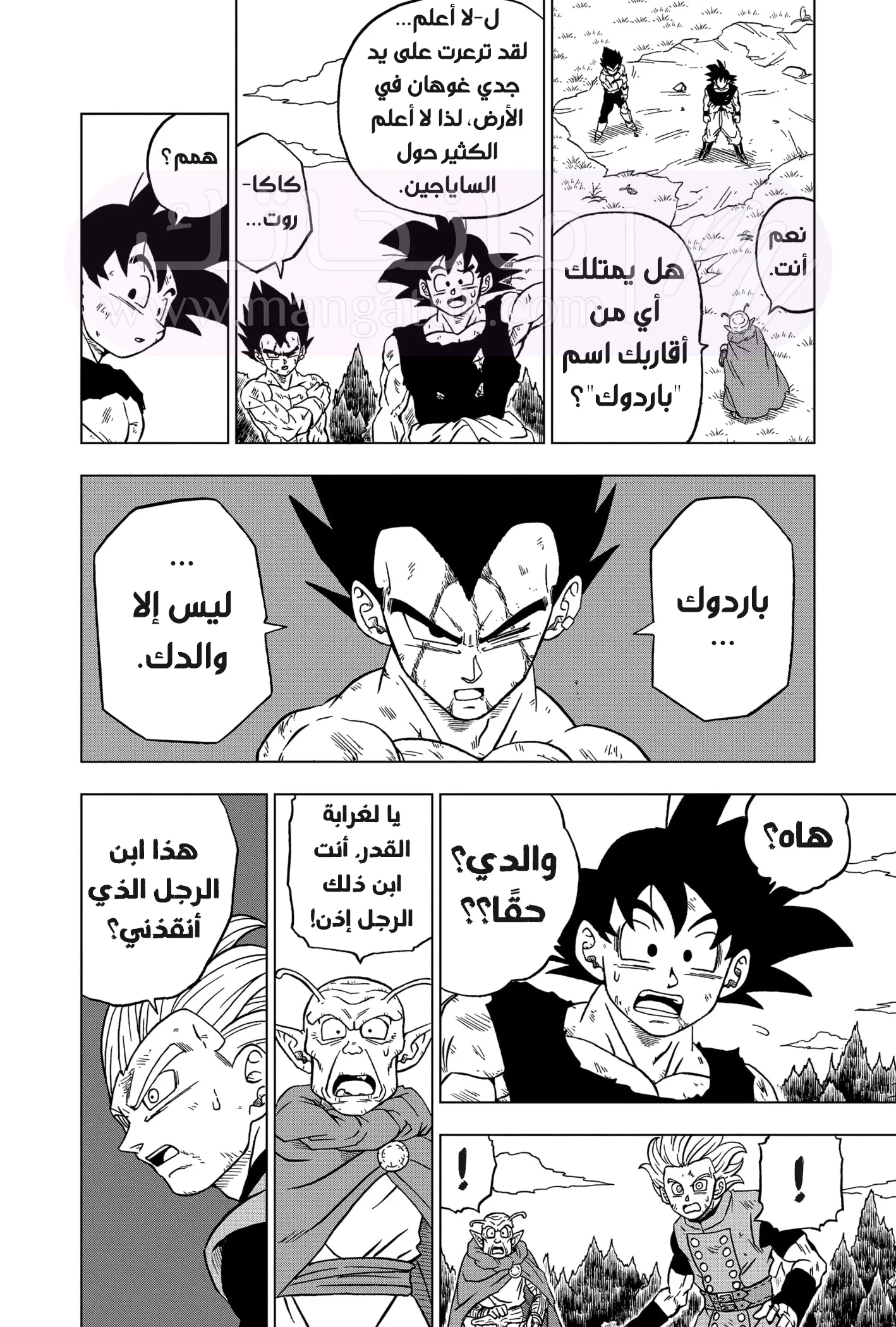 الصفحة 27