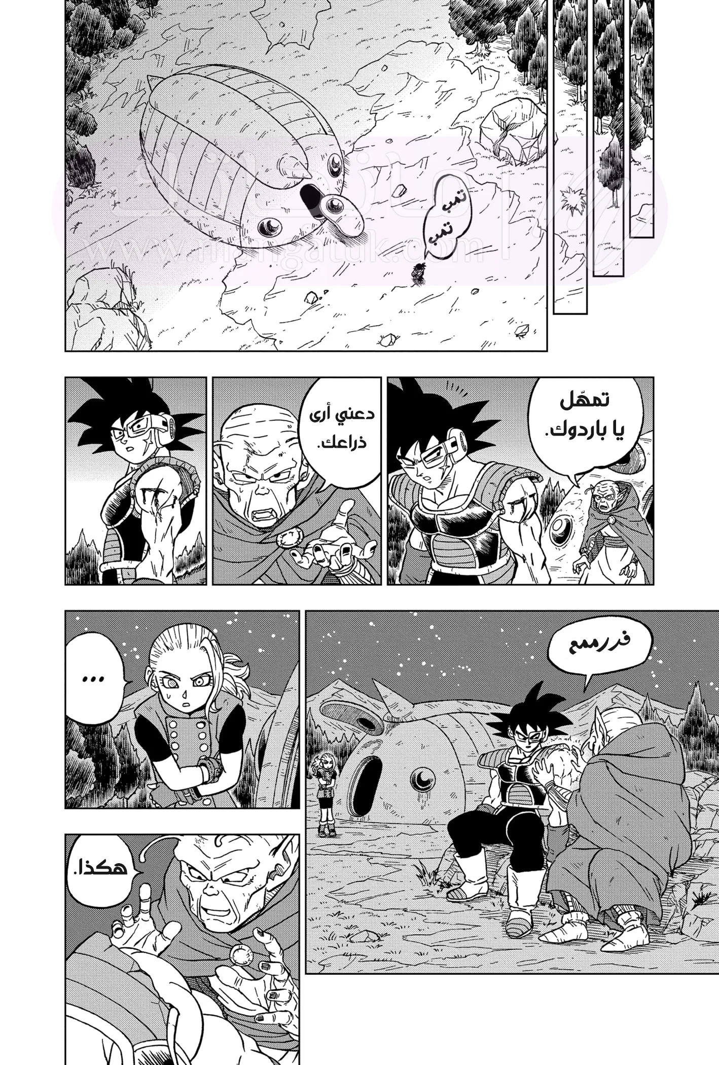 الصفحة 29