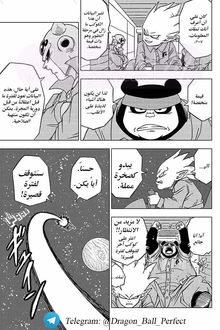 الصفحة 8