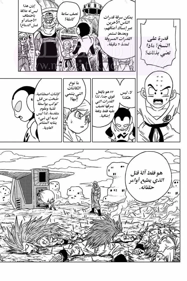 الصفحة 14