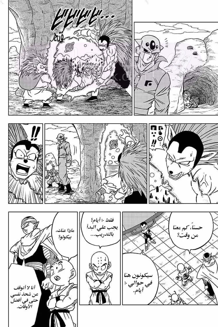 الصفحة 15