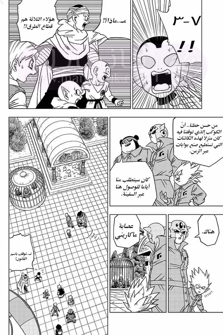 الصفحة 17