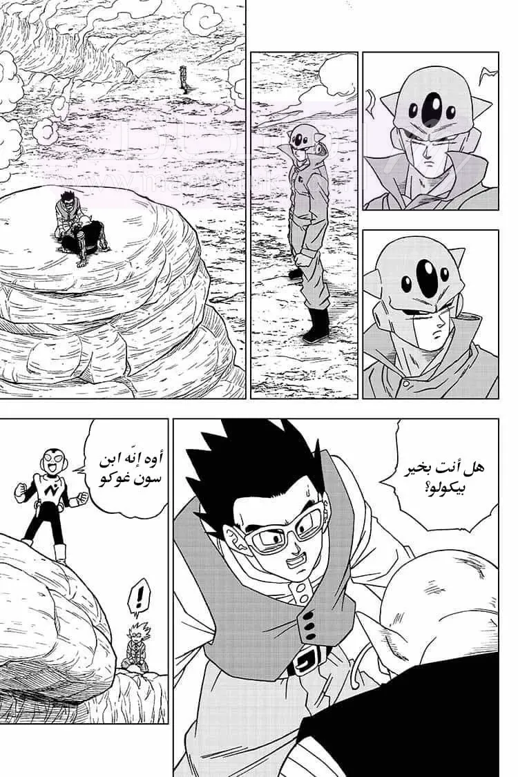 الصفحة 42