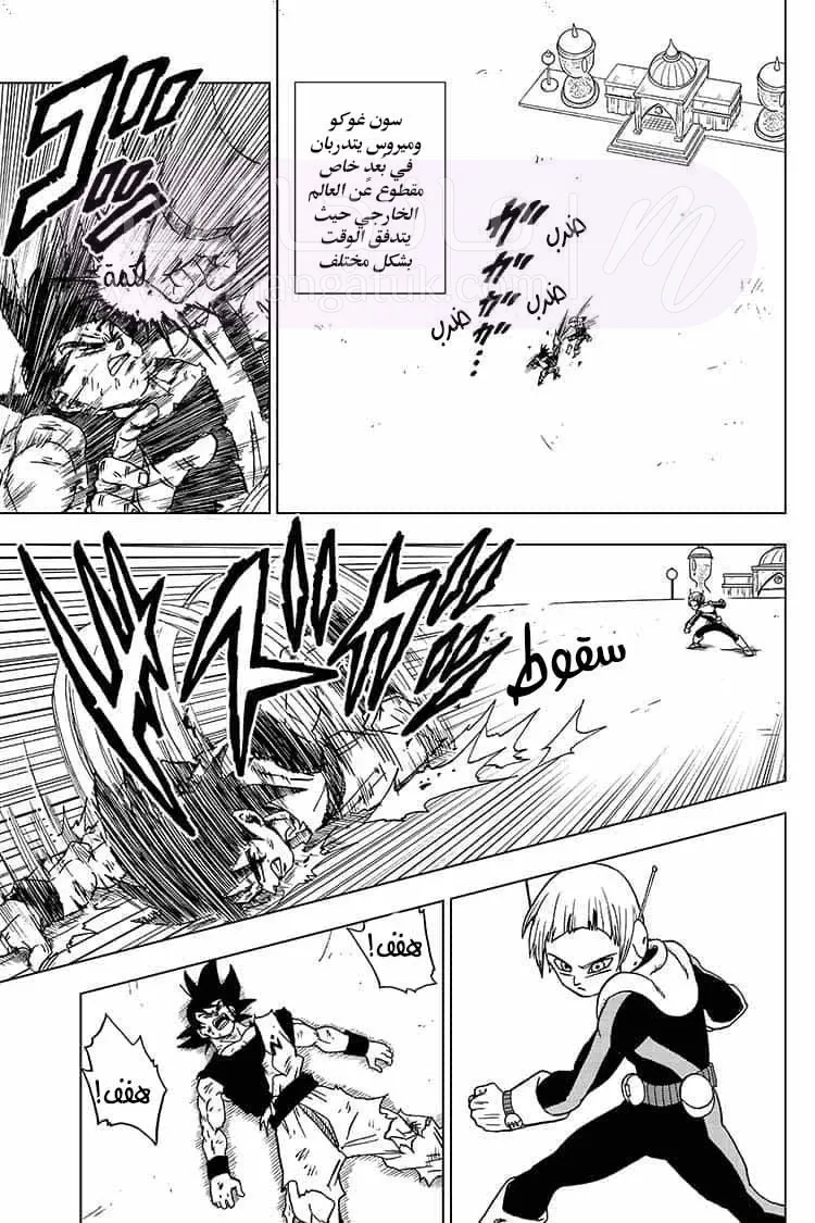 الصفحة 44