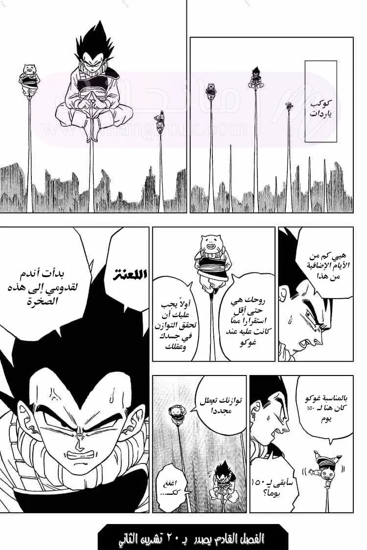 الصفحة 46