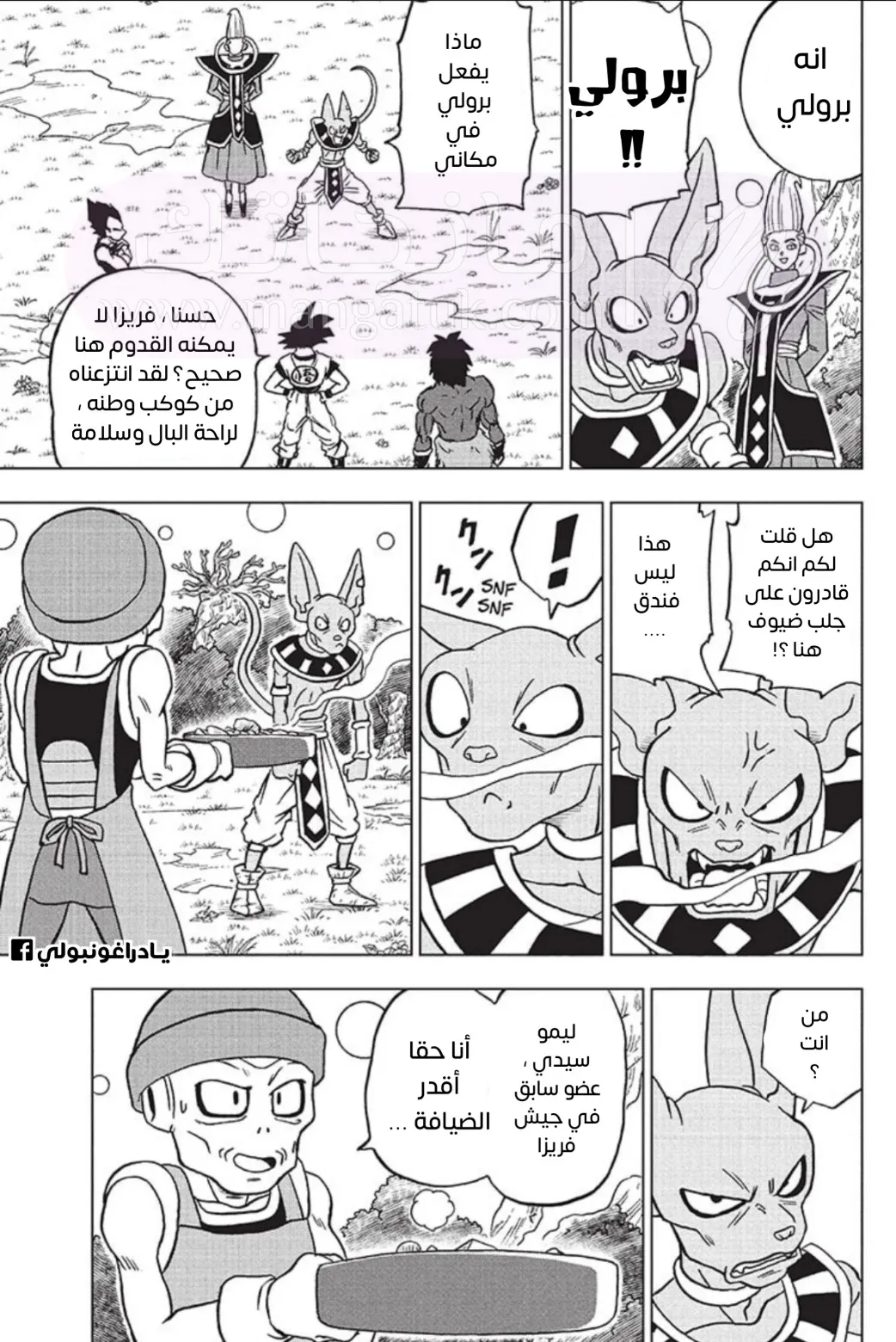 الصفحة 11