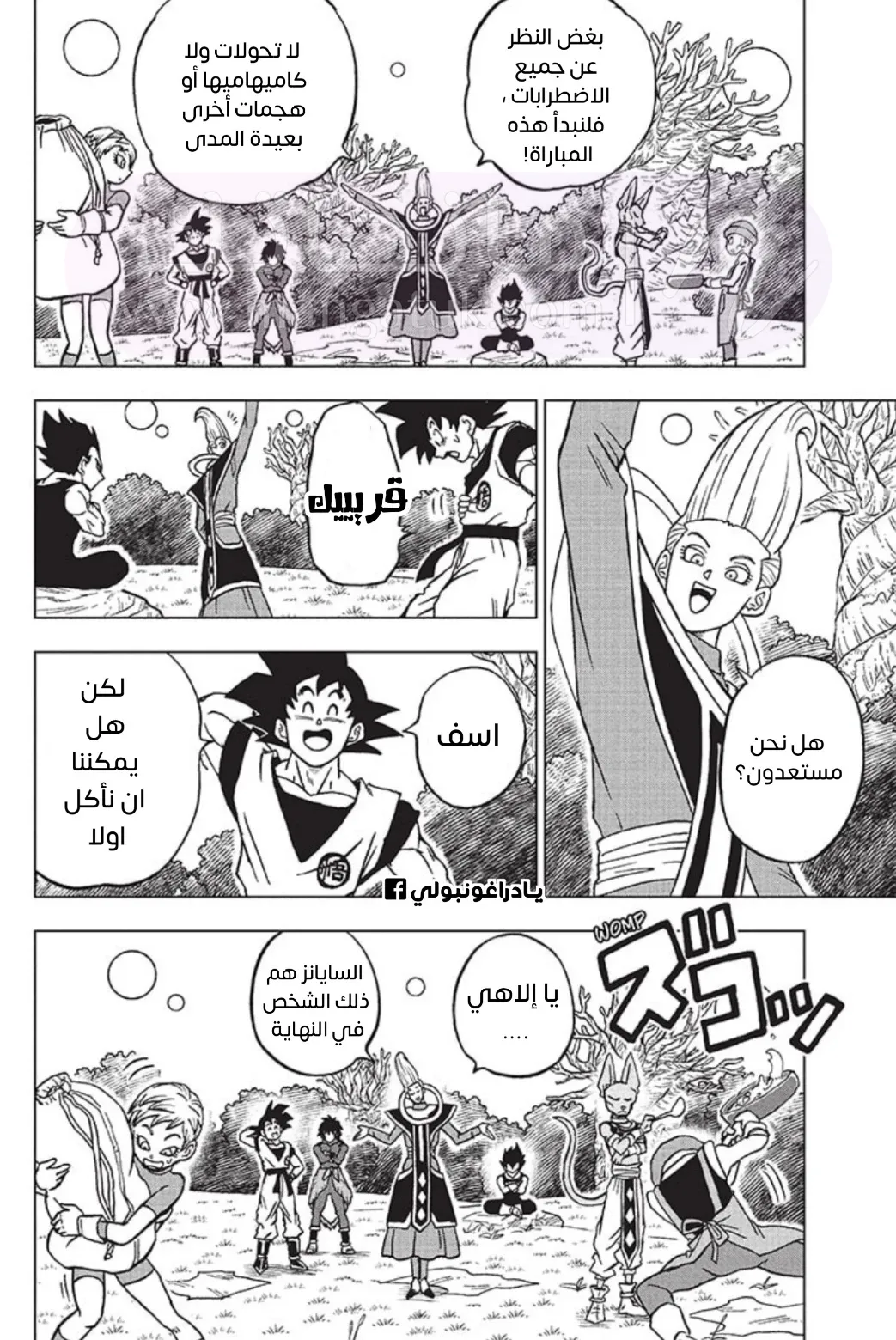 الصفحة 16