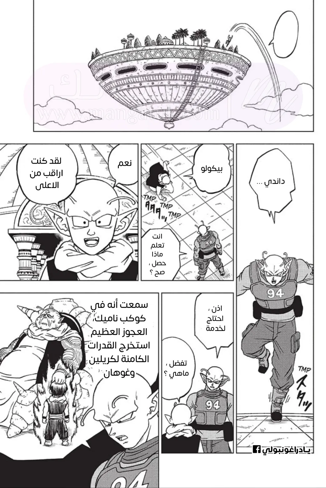 الصفحة 17