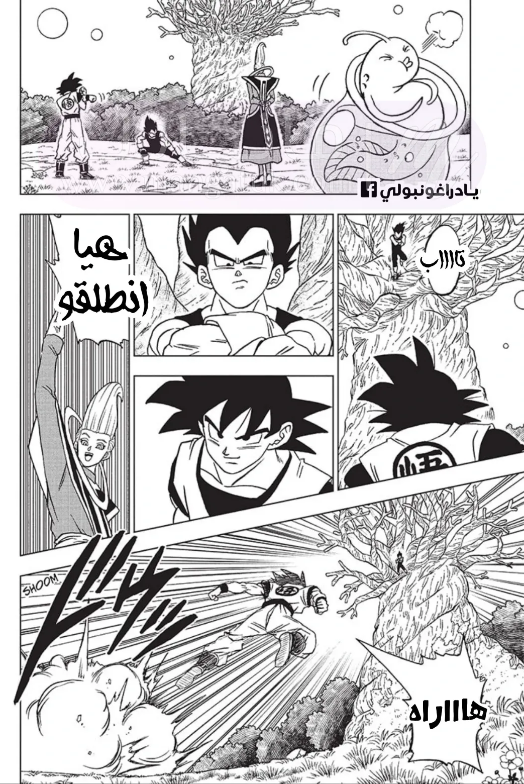 الصفحة 22