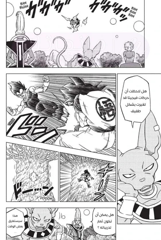 الصفحة 28