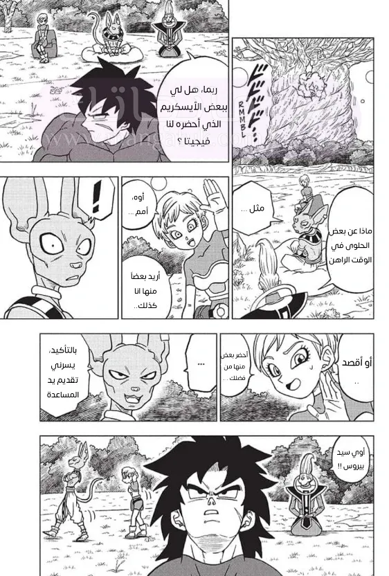 الصفحة 29