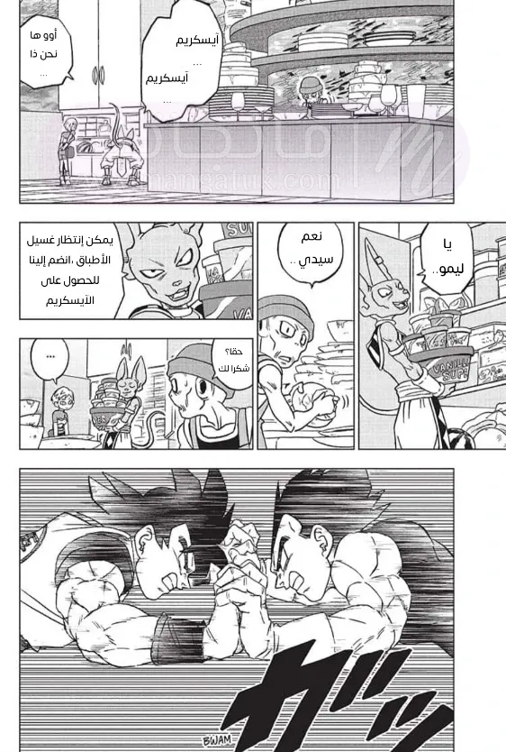 الصفحة 30