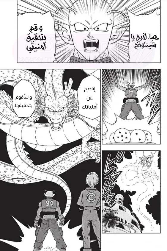الصفحة 35
