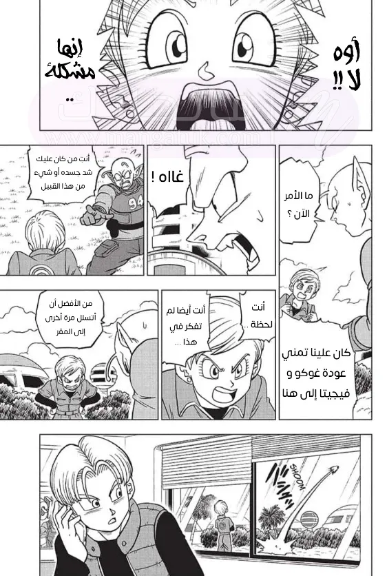 الصفحة 39