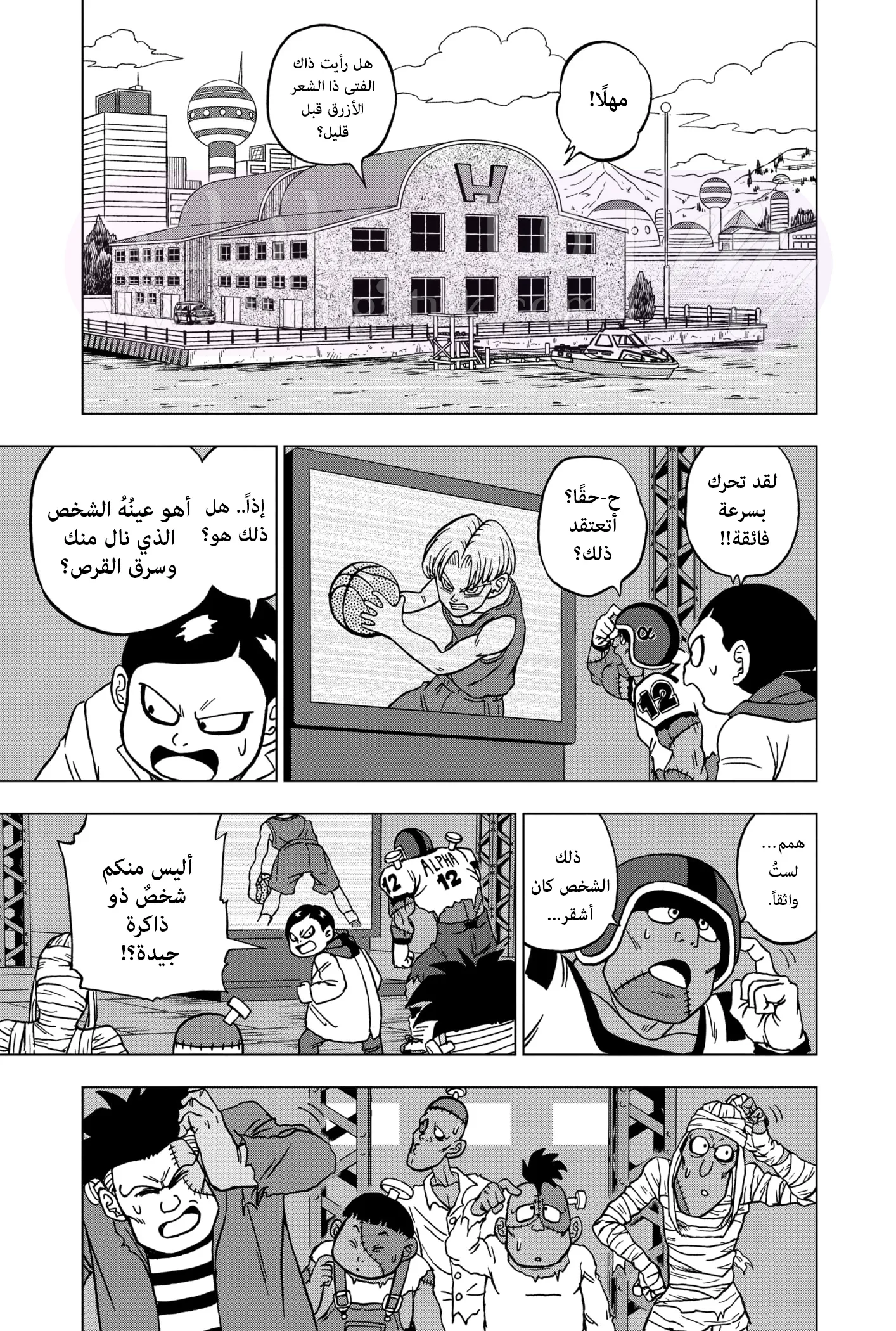 الصفحة 12