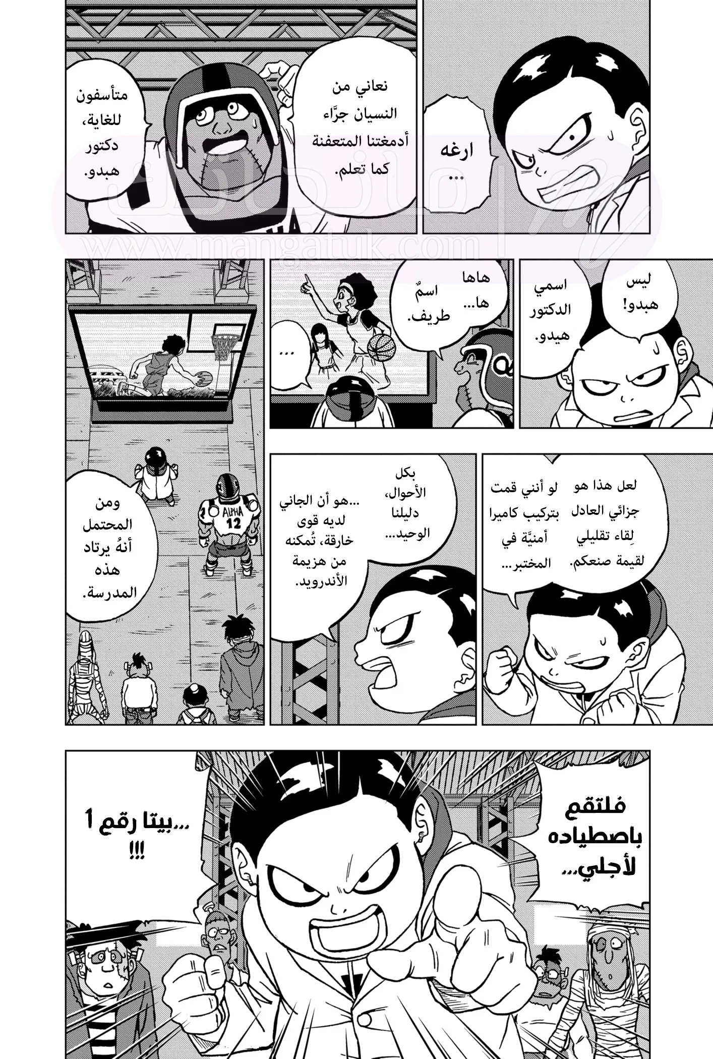 الصفحة 13