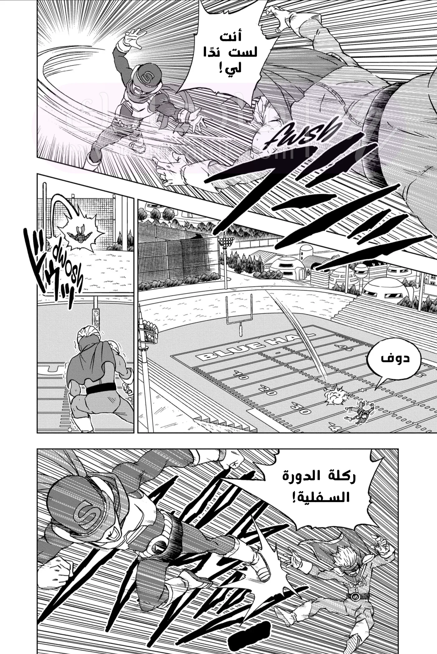 الصفحة 29