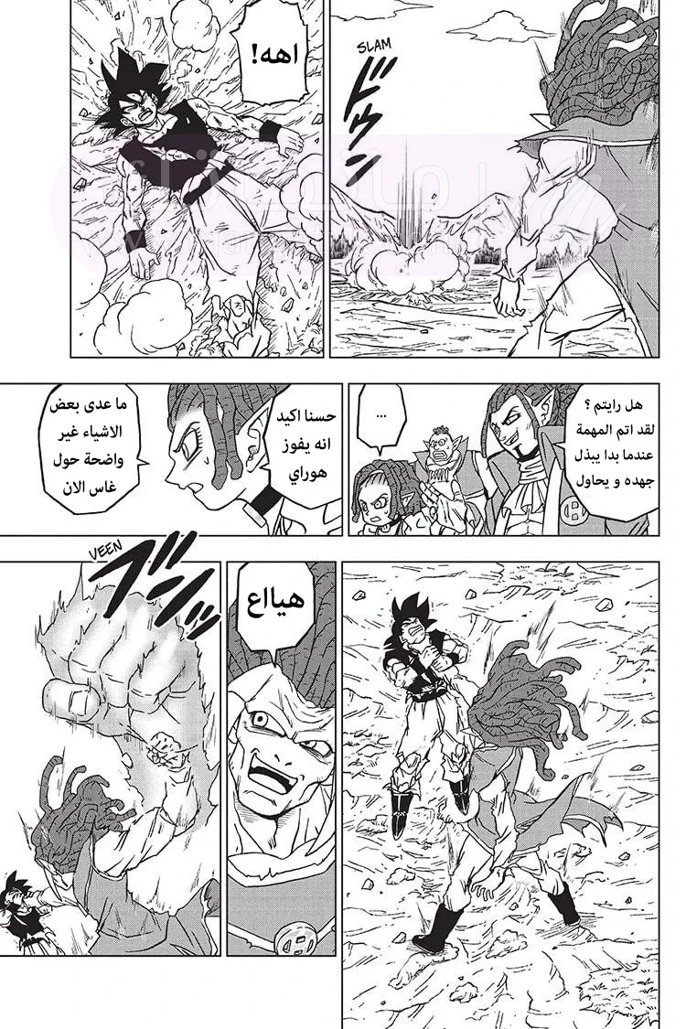 الصفحة 12