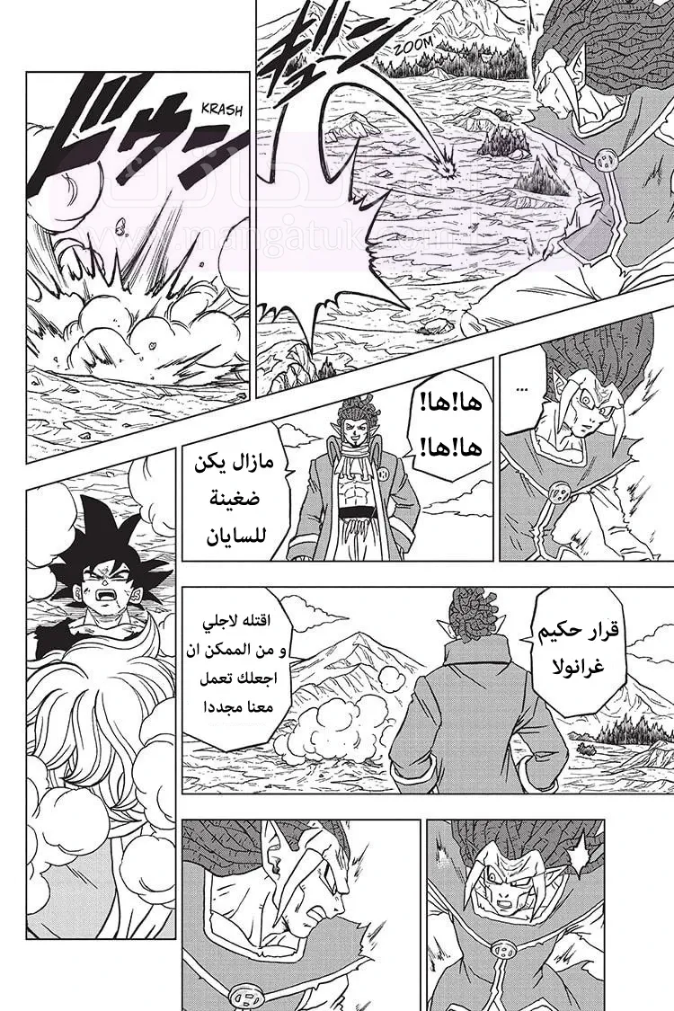 الصفحة 19