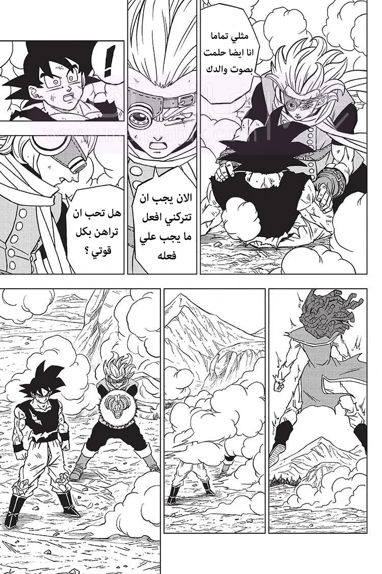 الصفحة 20