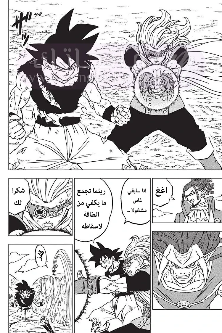 الصفحة 21