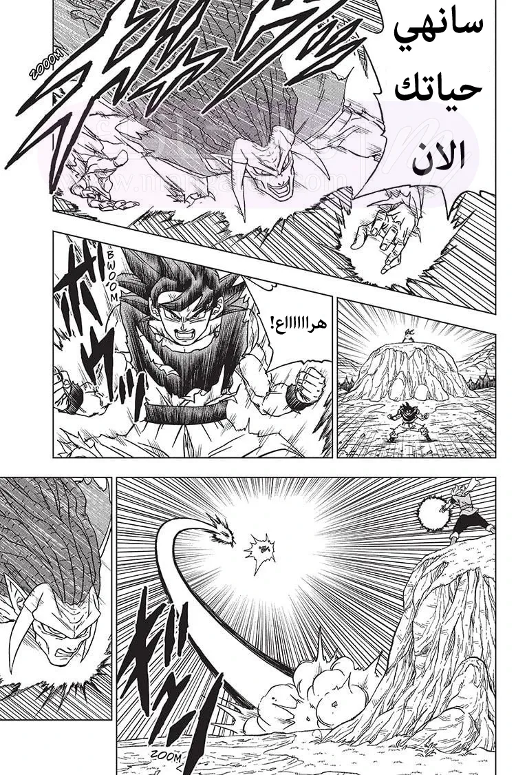 الصفحة 22