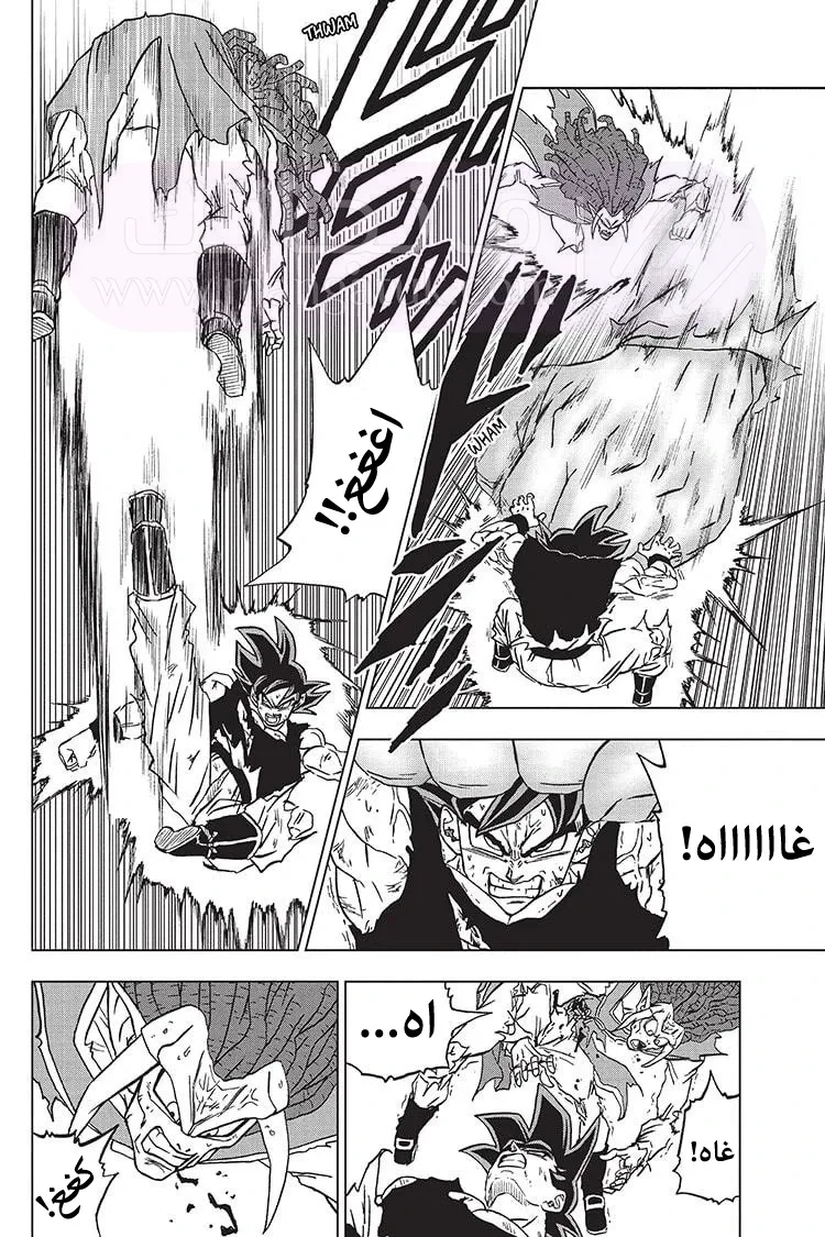 الصفحة 23