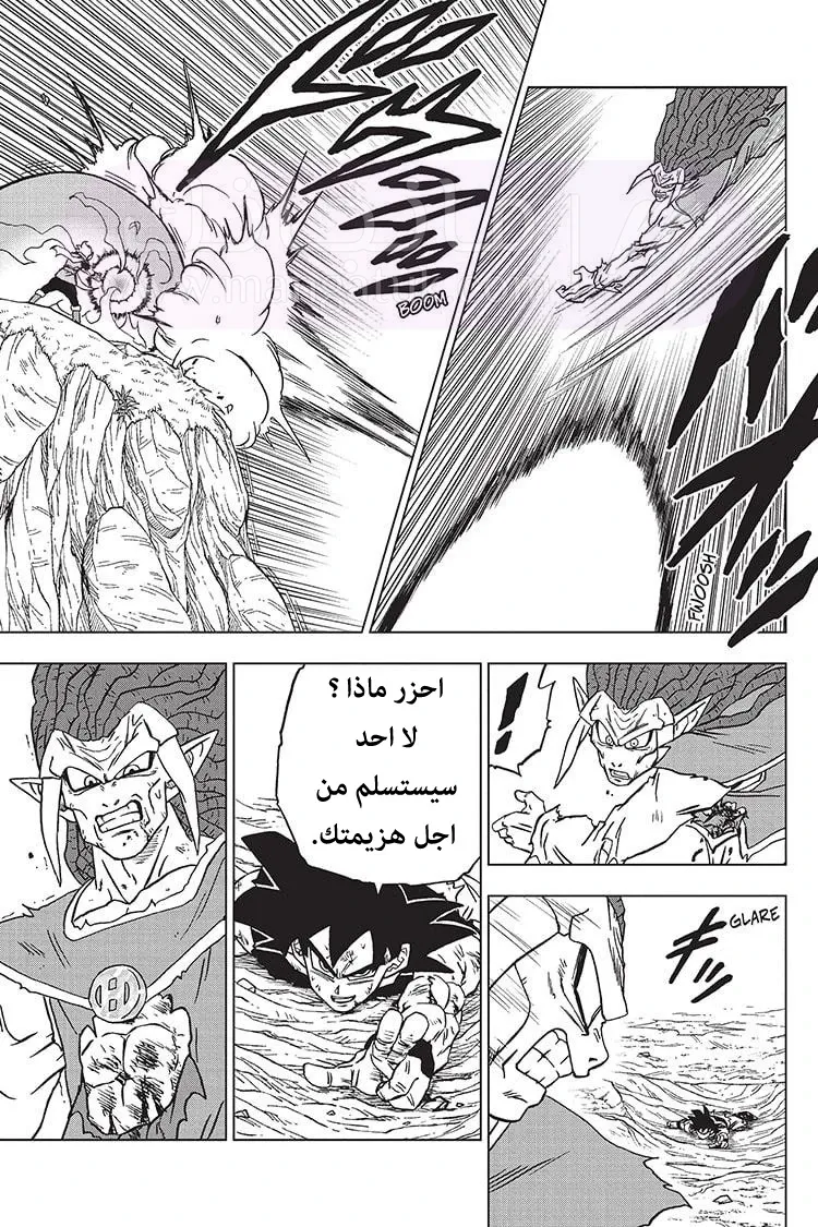 الصفحة 26