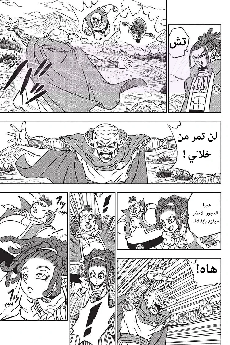 الصفحة 30
