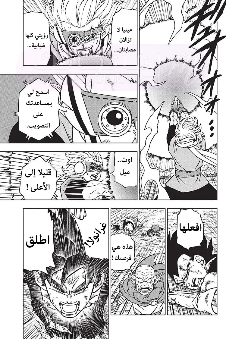 الصفحة 36