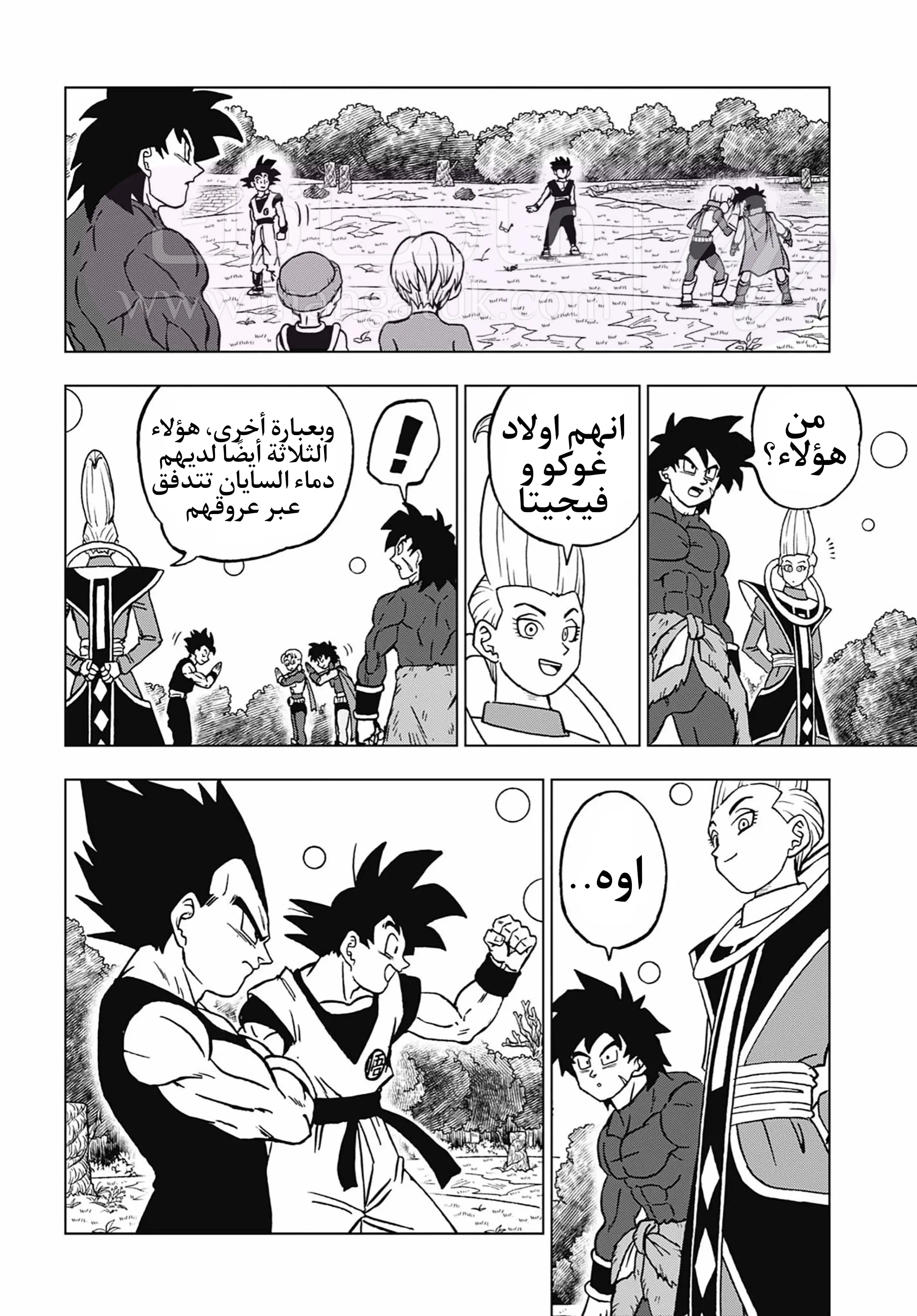 الصفحة 10