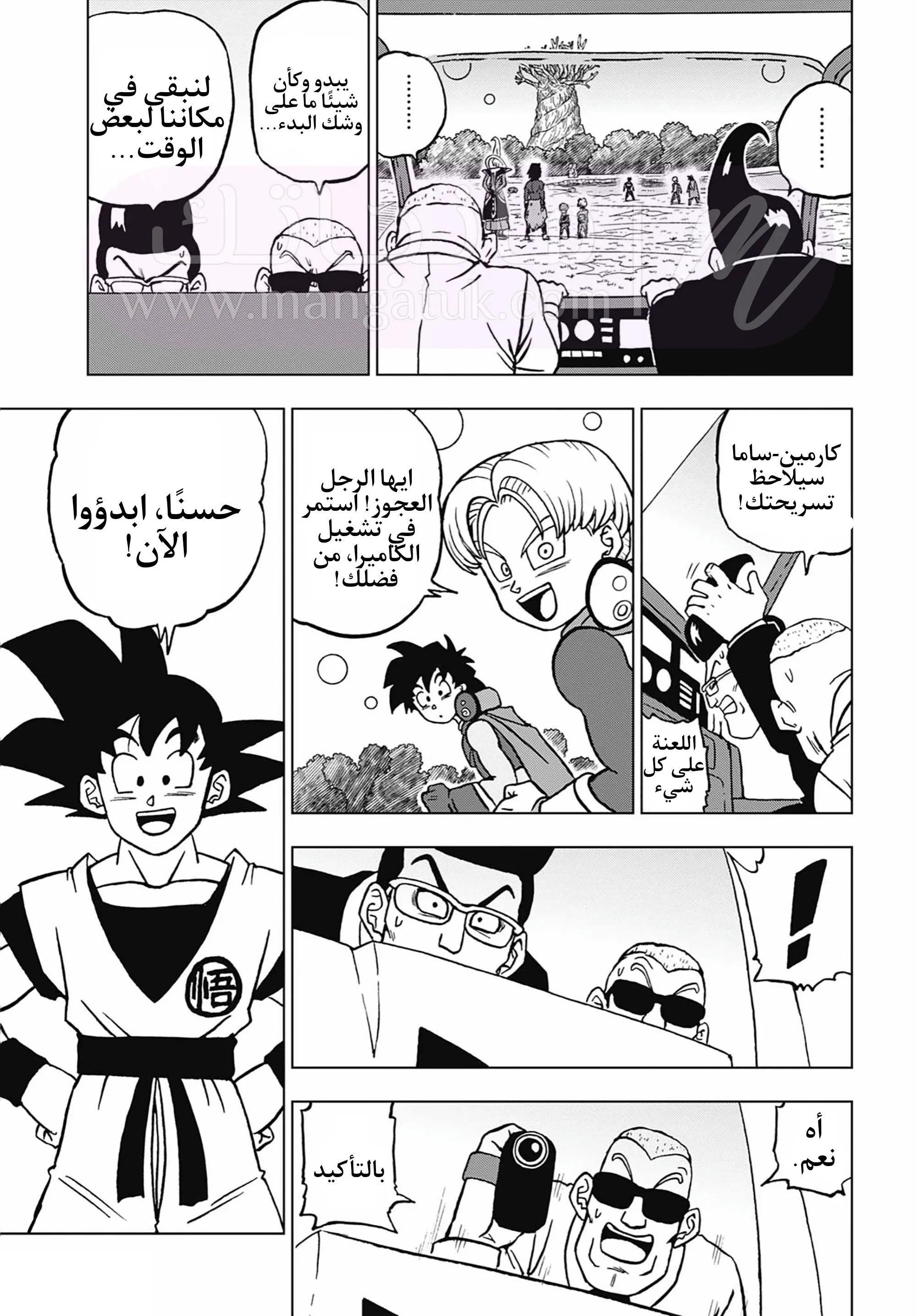 الصفحة 11