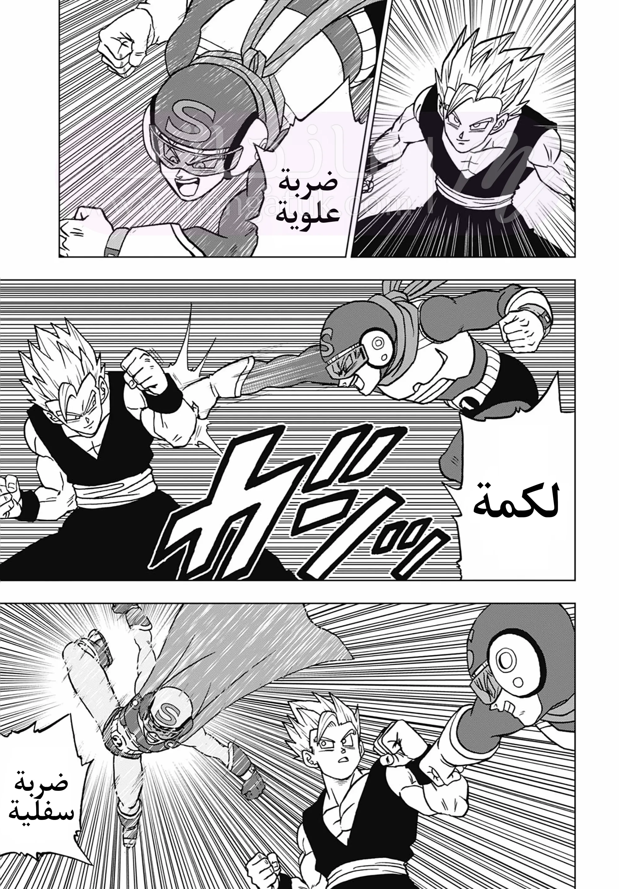 الصفحة 13