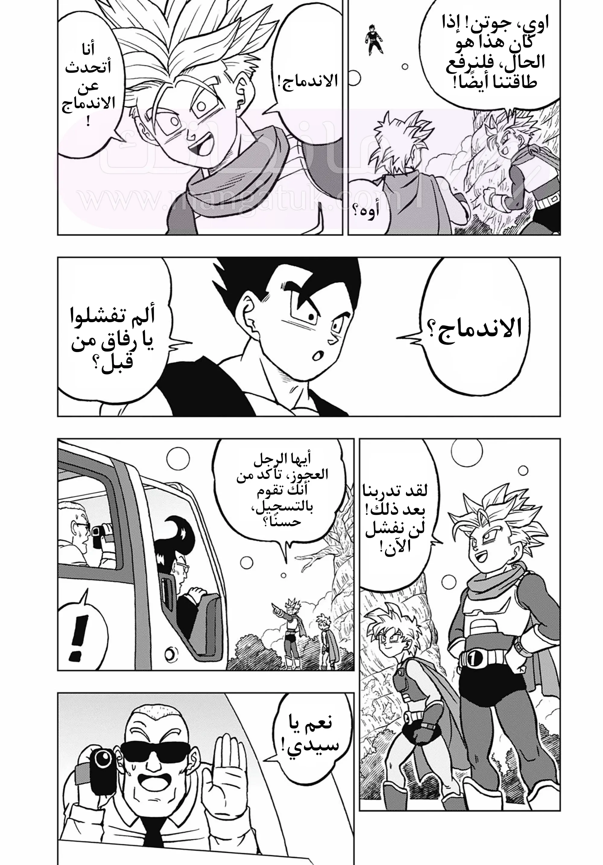 الصفحة 29
