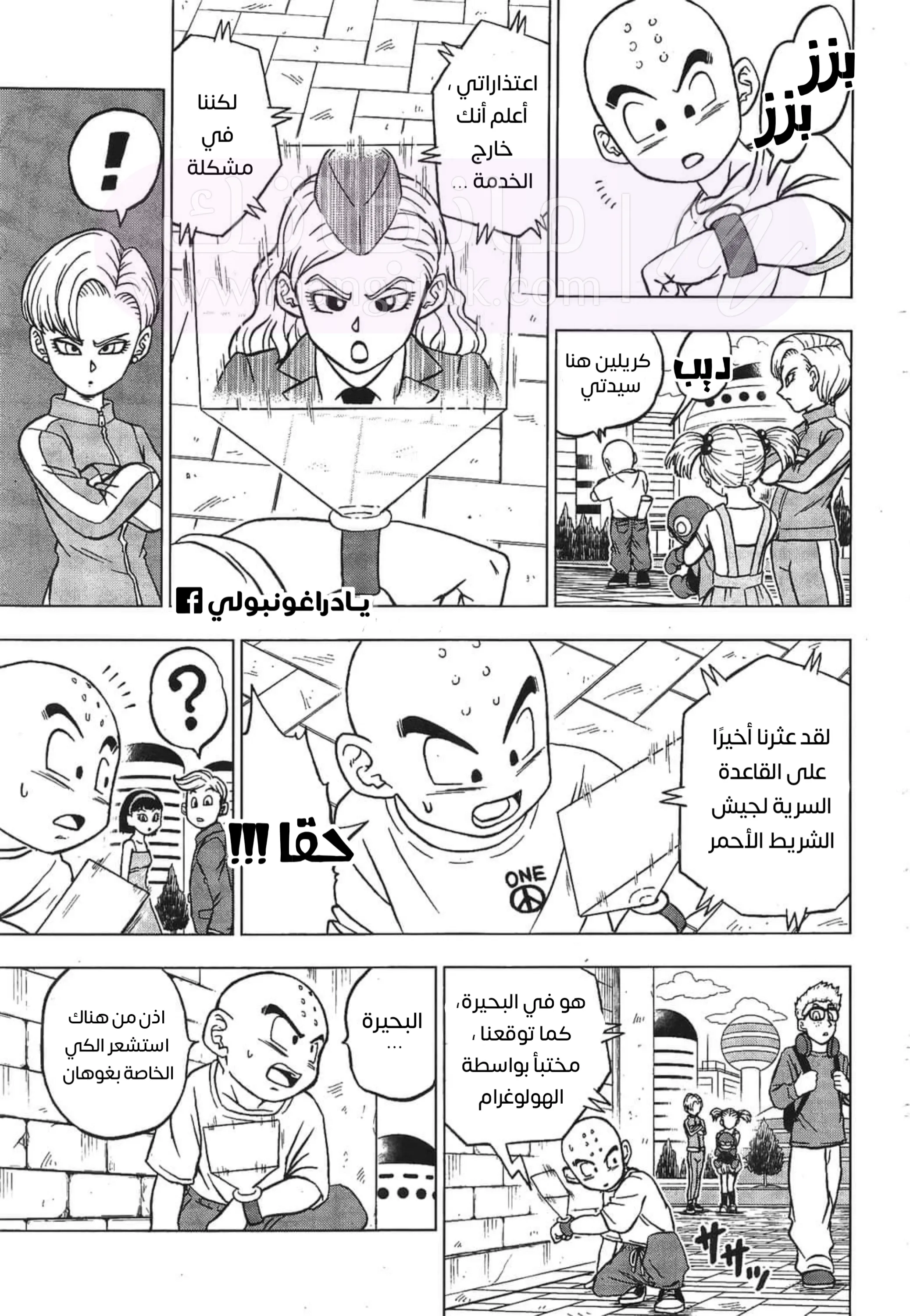 الصفحة 3