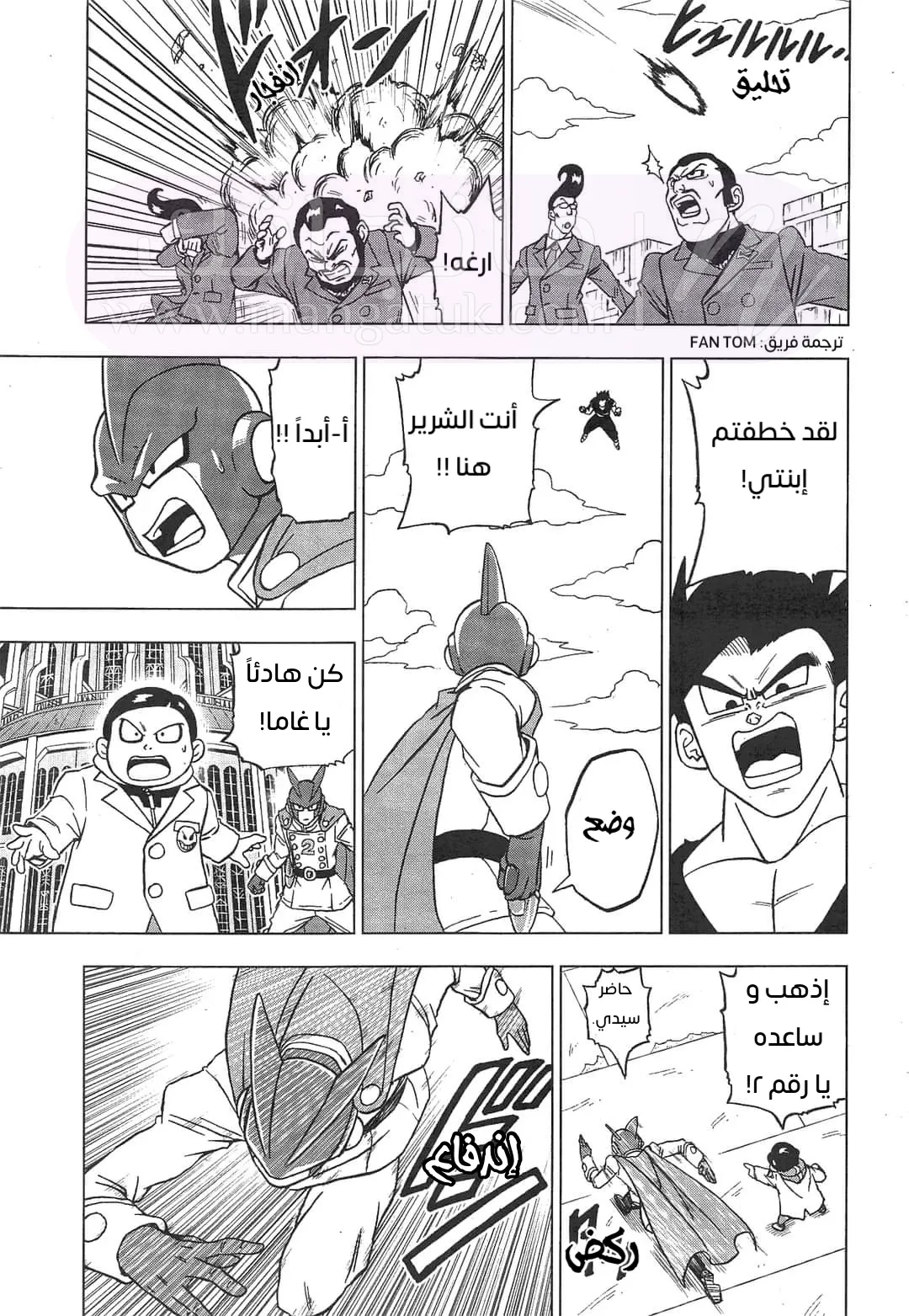 الصفحة 11