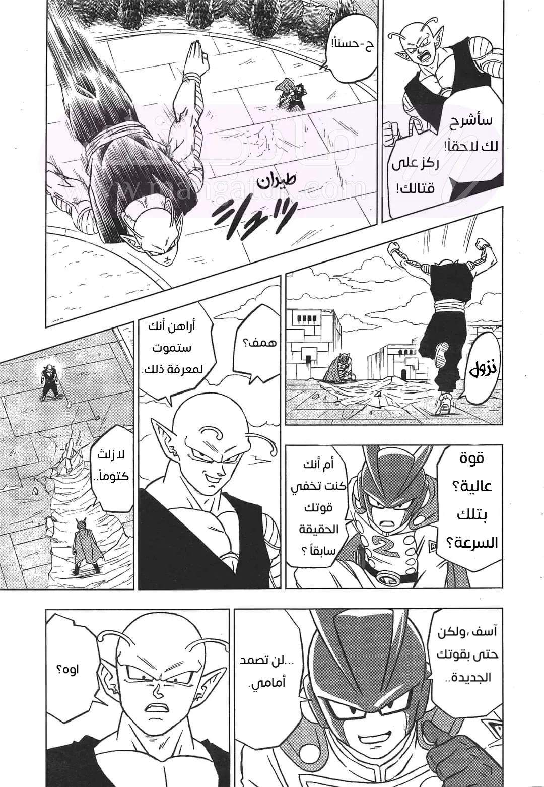 الصفحة 17