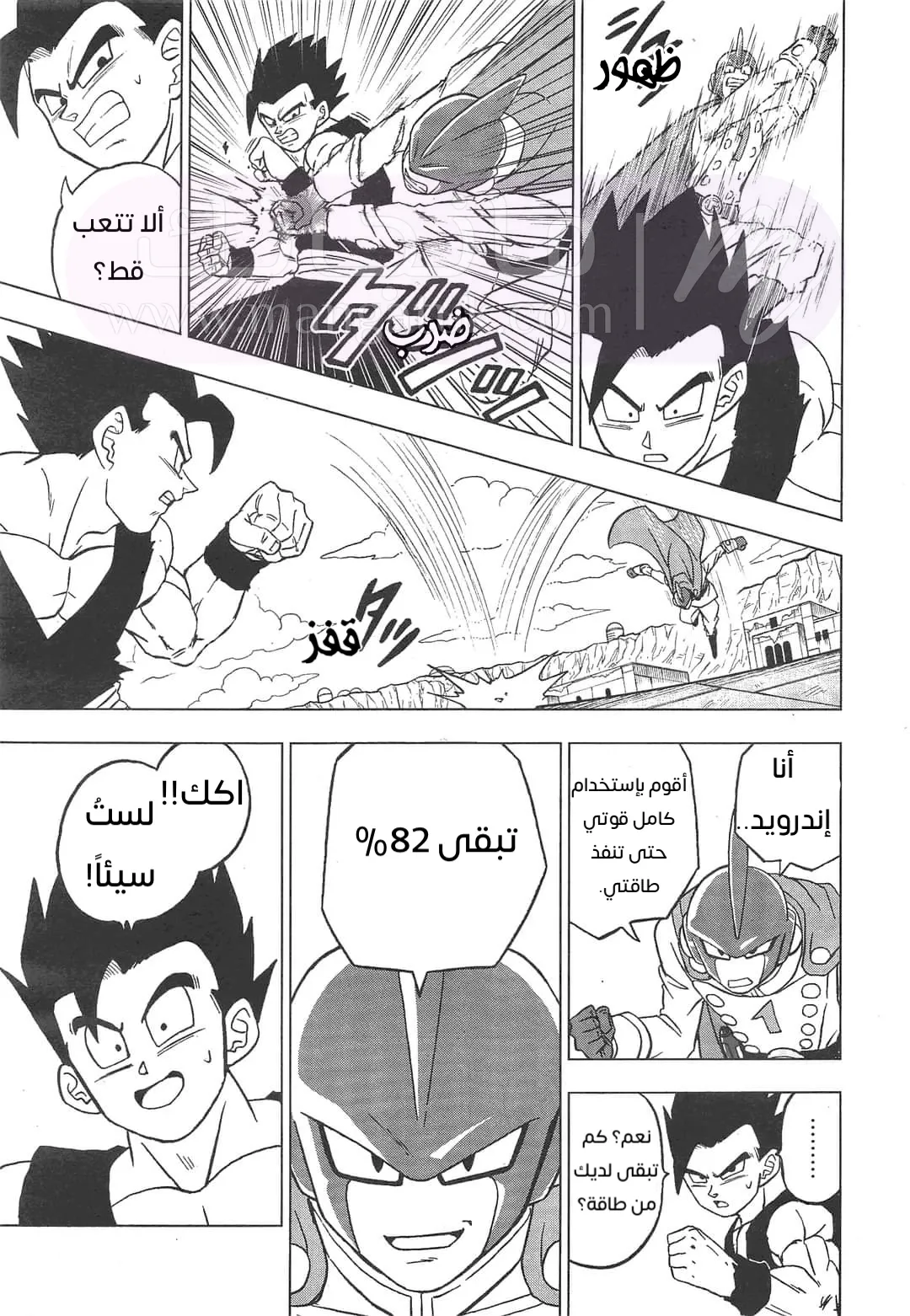 الصفحة 19