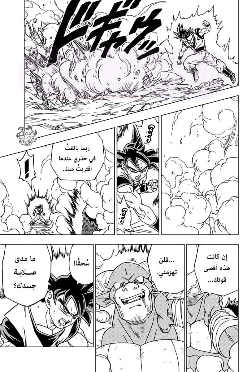 الصفحة 17